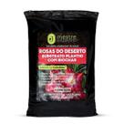 Substrato Rosa do Deserto Saudáveis Mestre Jardineiro 2,7 Kg Substrato Rosa do Deserto Saudáveis Mestre Jardineiro 2,7 Kg