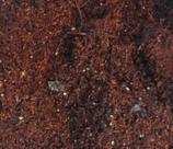 Substrato, Terra Adubada para Cultivo de Plantas - Pronto para uso