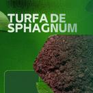 Substrato Turfa de Sphagnum Especial Adubo Orgânico 10 litros Gold Plant
