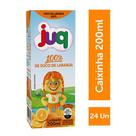 Suco de Laranja 100% JUQ 200ml Caixa C/24 Un
