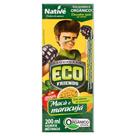 Suco de Maçã e Maracujá Orgânico Esquadrão EcoFriends Native 200ml