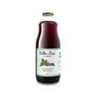 Suco de uva com hortela villa piva 1 litro