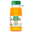Suco Integral Campo Largo Garrafa 250ml 6 Unidades Sabores