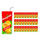 Suco Maguary de Maracujá 200ml 27 Unidades