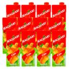 Suco Maguary Néctar de Caju 1l 12 Unidades