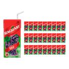 Suco Maguary Nectar de Uva 200ml 27 Unidades