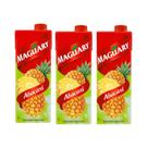 Suco Néctar de Abacaxi Maguary 1L - Kit 3 Unidades