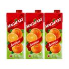 Suco Néctar de Laranja Maguary 1L - Kit 3 Unidades
