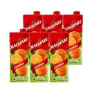 Suco Néctar de Laranja Maguary 1L - Kit 6 Unidades