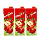 Suco Néctar de Maçã Maguary 1L - Kit 3 Unidades