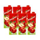 Suco Néctar de Maçã Maguary 1L - Kit 6 Unidades