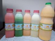 Sucos Naturais Flamingo Tropical 500 ml