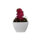 Suculenta Artificial Mini Vaso de Plástico Branco