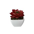 Suculenta Artificial Mini Vaso de Plástico Branco