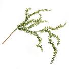 Suculenta pendente (47cm)
