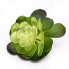 Suculenta Planta Artificial Verde 14x16 Cm - D'rossi