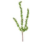 Suculenta Sedum Pendente Artificial 50cm Folhagem Verde - Florarte