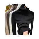 Suéter Feminino De Tricô Canelado Gola Alta Manga Longa Macio Quente Ajuste Fino Outono Inverno Suéter Feminino De Tricô Canelado Gola Alta Manga Longa Macio Quente Ajuste Fino Outono Inverno