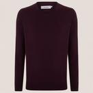Suéter Tricot Dudalina Basic In25 Bordô Masculino