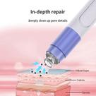 Sugador de Cravos Vácuo Facial Extrator de Acne Profissional Limpeza de Pele Portátil Pronta Entrega
