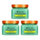 Sugar Scrub Tree Hut Coconut Lime 532ml (pacote com 3) Sugar Scrub Tree Hut Coconut Lime 532ml (pacote com 3)