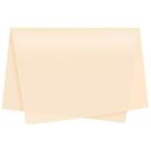 Sujinho Poli Liso 49X69CM Creme Pacote com 50 Unidades