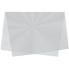 Sujinho Poli Liso 49X69CM Incolor - Pacote com 50 Unidades