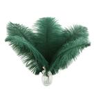 Suministros de Arte Plumas de Avestruz Ballinger 24 piezas 25-30 cm Verde