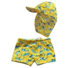 Sunga Boxer Bebê e Infantil com Boné Microfibra Proteção UV Tubarões Amarelo Everly