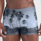 Sunga boxer estampada com paisagem