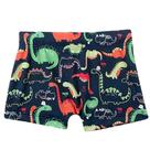 Sunga Boxer Infantil Fps Uv50+ Tip Top Menino Short De Praia Masculino Piscina Verão Bk73 Sunga Boxer Infantil Fps Uv50+ Tip Top Menino Short De Praia Masculino Piscina Verão Bk73
