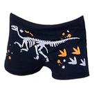 Sunga Infantil Masculina Dedeka Boxer Light Preta - 25457 Sunga Infantil Masculina Dedeka Boxer Light Preta - 25457