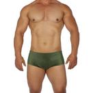 Sunga Masculina Premium Basica Moda Praia Lançamento Hoggi verão