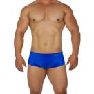Sunga Masculina Premium Basica Moda Praia Lançamento Hoggi verão