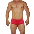 Sunga Masculina Premium Basica Moda Praia Lançamento Hoggi verão