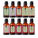 Super Kit 10 Essências Hidrossolúveis 30ml Difusor Aroma