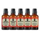 Super Kit 5 Essências A Base Água Hidrossolúvel 30ml Difusor