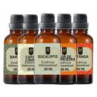 Super Kit 5 Essências A Base Água Hidrossolúvel 30ml Difusor Super Kit 5 Essências A Base Água Hidrossolúvel 30ml Difusor