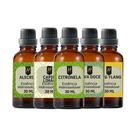 Super Kit 5 Essências A Base Água Hidrossolúvel 30ml Difusor
