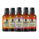 Super Kit 5 Essências A Base Água Hidrossolúvel 30ml Difusor