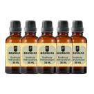 Super Kit 5 Essências A Base Água Hidrossolúvel 30ml Difusor Super Kit 5 Essências A Base Água Hidrossolúvel 30ml Difusor