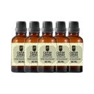 Super Kit 5 Essências A Base Água Hidrossolúvel 30ml Difusor