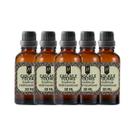 Super Kit 5 Essências A Base Água Hidrossolúvel 30ml Difusor