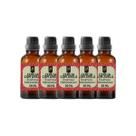 Super Kit 5 Essências A Base Água Hidrossolúvel 30ml Difusor Super Kit 5 Essências A Base Água Hidrossolúvel 30ml Difusor