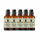 Super Kit 5 Essências A Base Água Hidrossolúvel 30ml Difusor