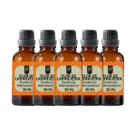 Super Kit 5 Essências A Base Água Hidrossolúvel 30ml Difusor