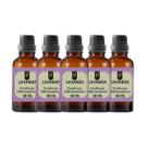 Super Kit 5 Essências A Base Água Hidrossolúvel 30ml Difusor