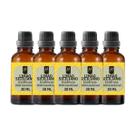 Super Kit 5 Essências A Base Água Hidrossolúvel 30ml Difusor
