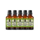Super Kit 5 Essências A Base Água Hidrossolúvel 30ml Difusor