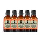 Super Kit 5 Essências A Base Água Hidrossolúvel 30ml Difusor